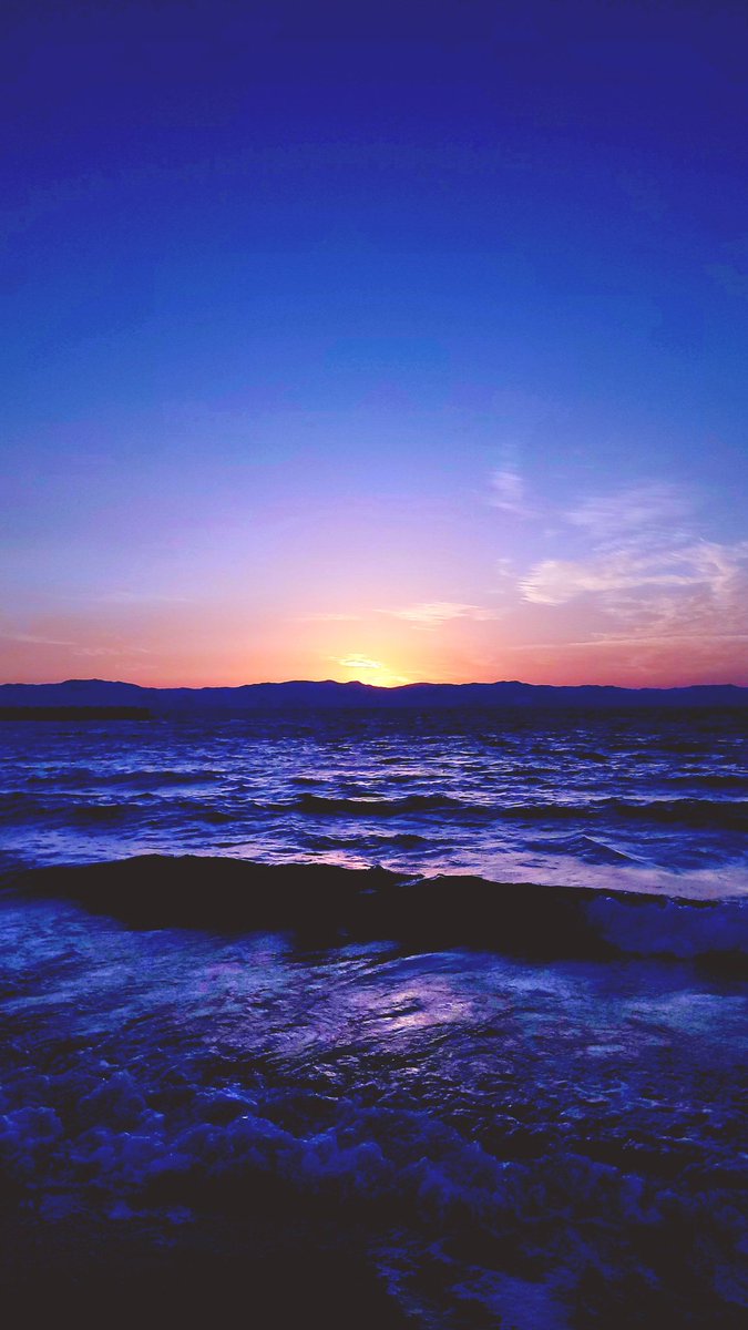 錦江湾 Twitter Search Twitter