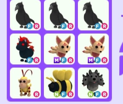 Rainbowplays_'s tweet photo. @Ibzezay @PlayAdoptMe Tgis and nfr panda nfr shiba inu nfr penguen and nfr koala for nfr girrafe please? https://t.co/FTUogHlNQj