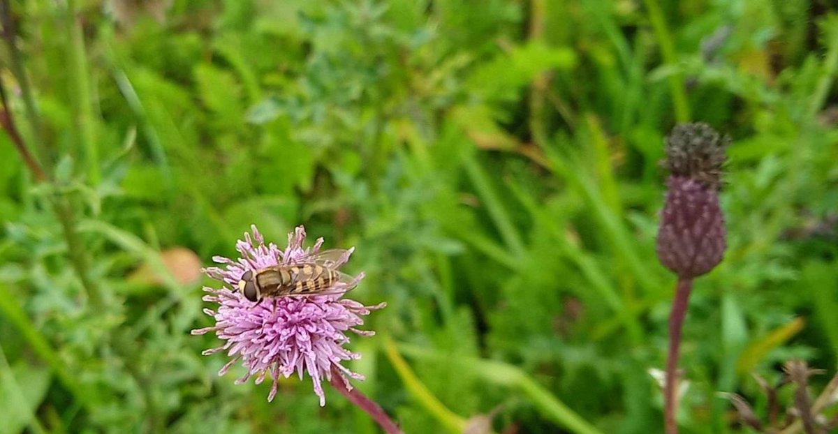 TheMessMess's tweet image. 