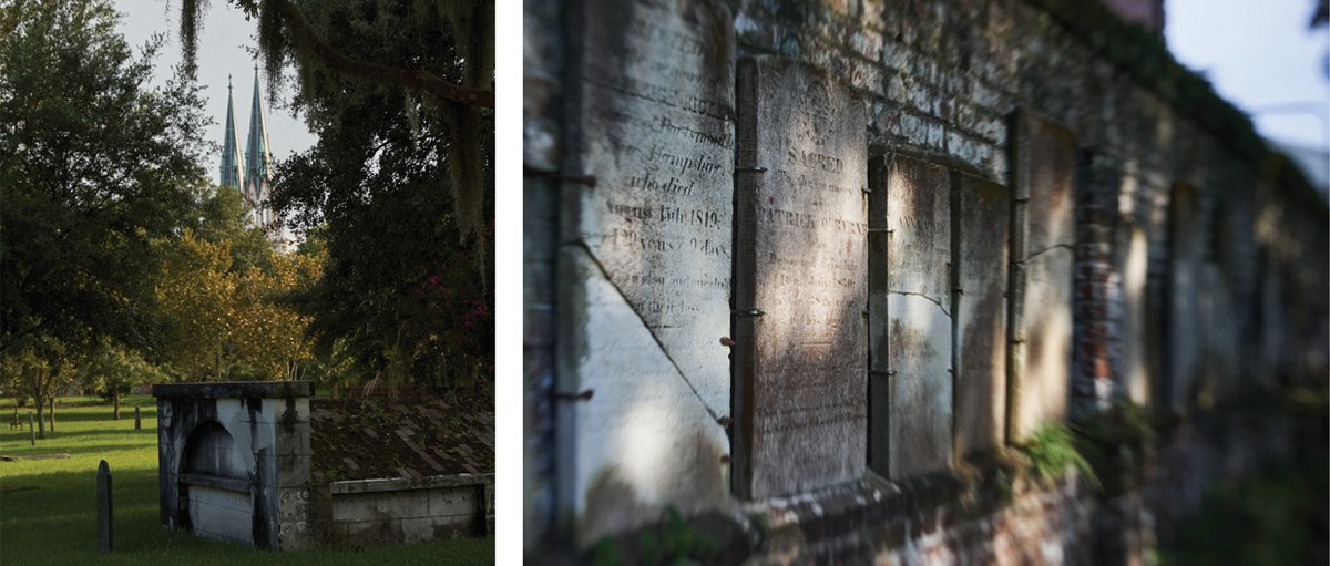 Savannah Magazine tweet media