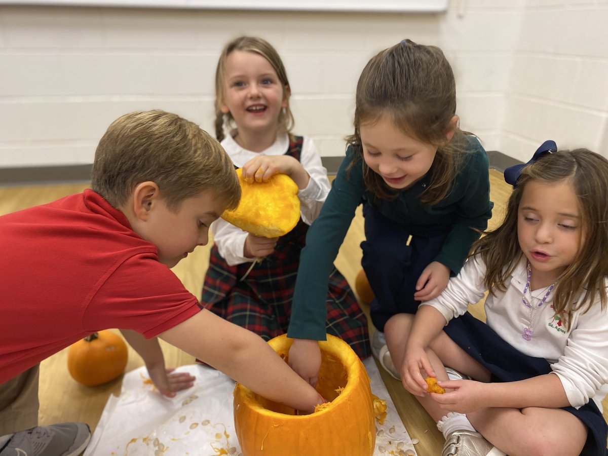 SSSAS_Science's tweet photo. Kindergarten students are measuring pumpkins today! We are comparing how tall, round, and heavy our pumpkins are. Tomorrow, we'll complete a "five senses" lab and taste our roasted pumpkin seeds! 
PS: Did you know pumpkins float? https://t.co/rEkx7R82fY