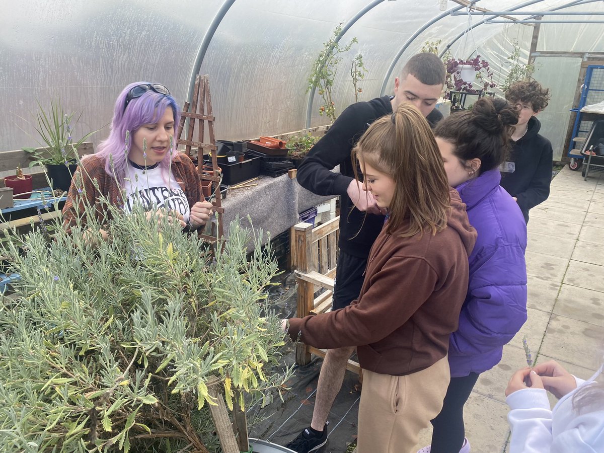 Horticulture students @SLCek delivered a fantastic event on plant / herb therapy. They allowed students to pick their own herbs from the garden, rooted them in pots and did a small meditation session with the group. Everyone left very calm and relaxed. Great job!