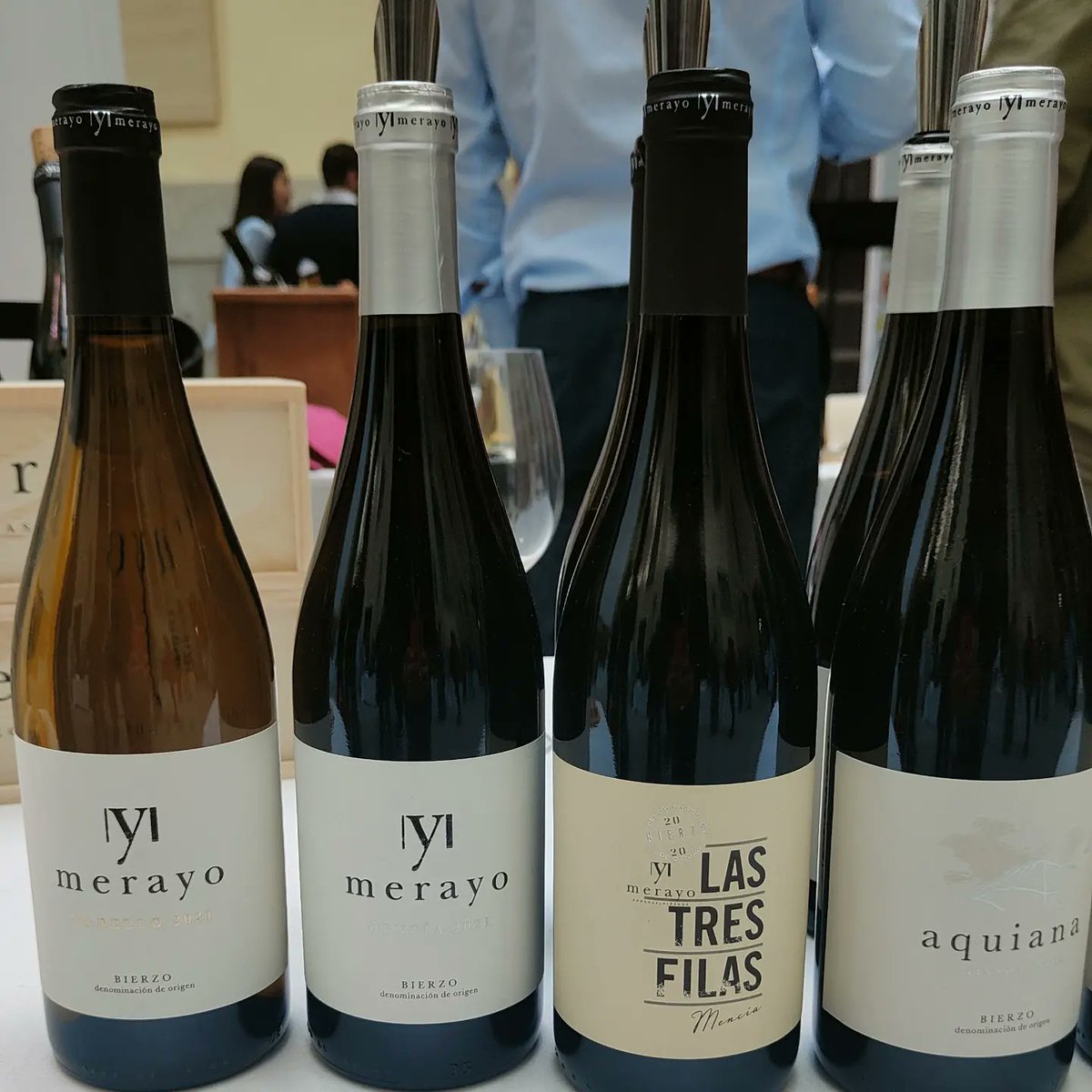 X Salón de los vinos con <a href="/DOBierzo/">C.R.D.O. Bierzo</a> / <a href="/LaCasaEncendida/">La Casa Encendida</a> #Madrid