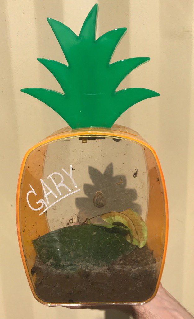 GaryTheSnailERC's tweet photo. My name is $GARY &amp; I'm a snail

Elon Musk is my dad

Here's my token!

https://t.co/CkzYRy2Jfs https://t.co/0Ivkbih4Re