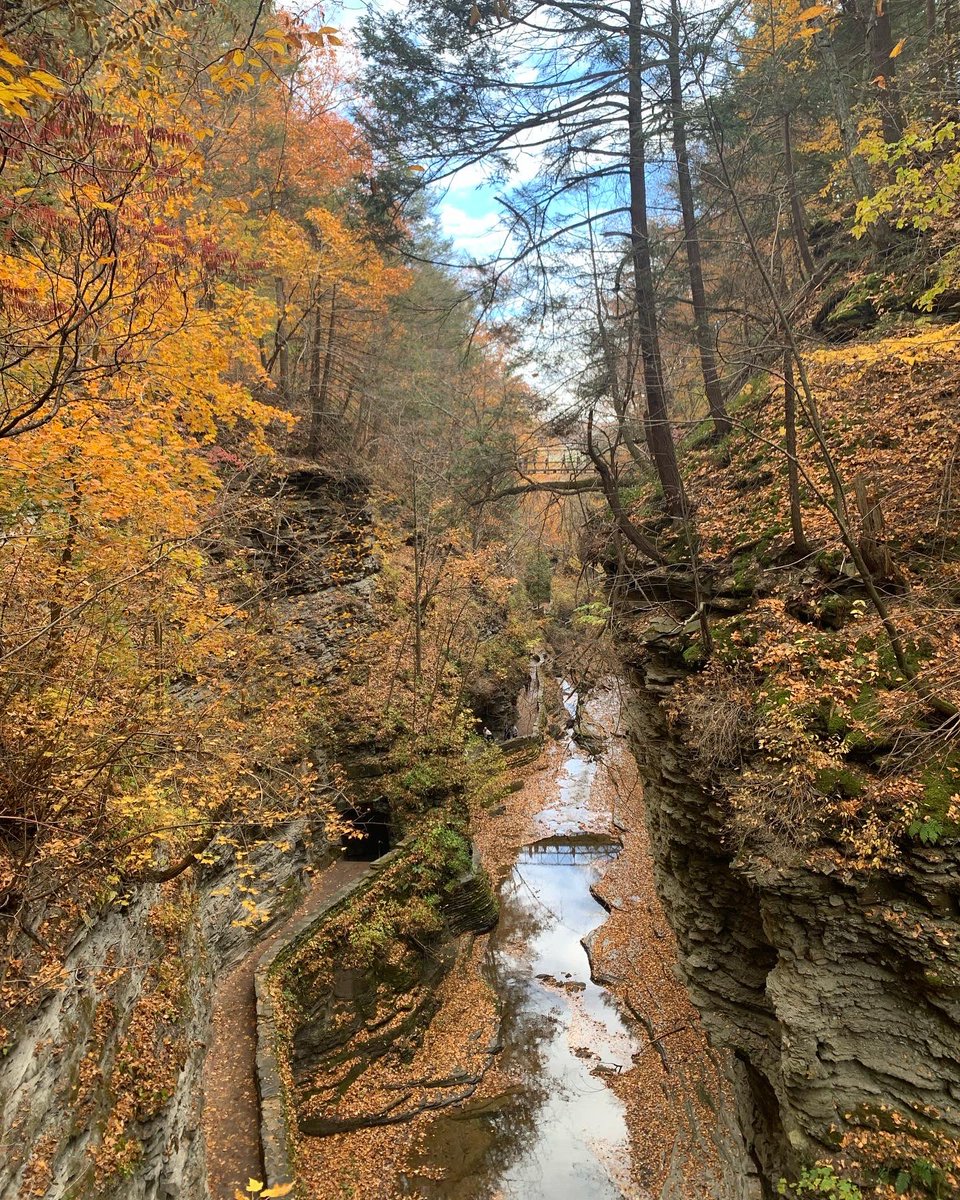 jenn_Xo17's tweet photo. Also finger lakes are amazing 😻 https://t.co/xr8NlPwDiH