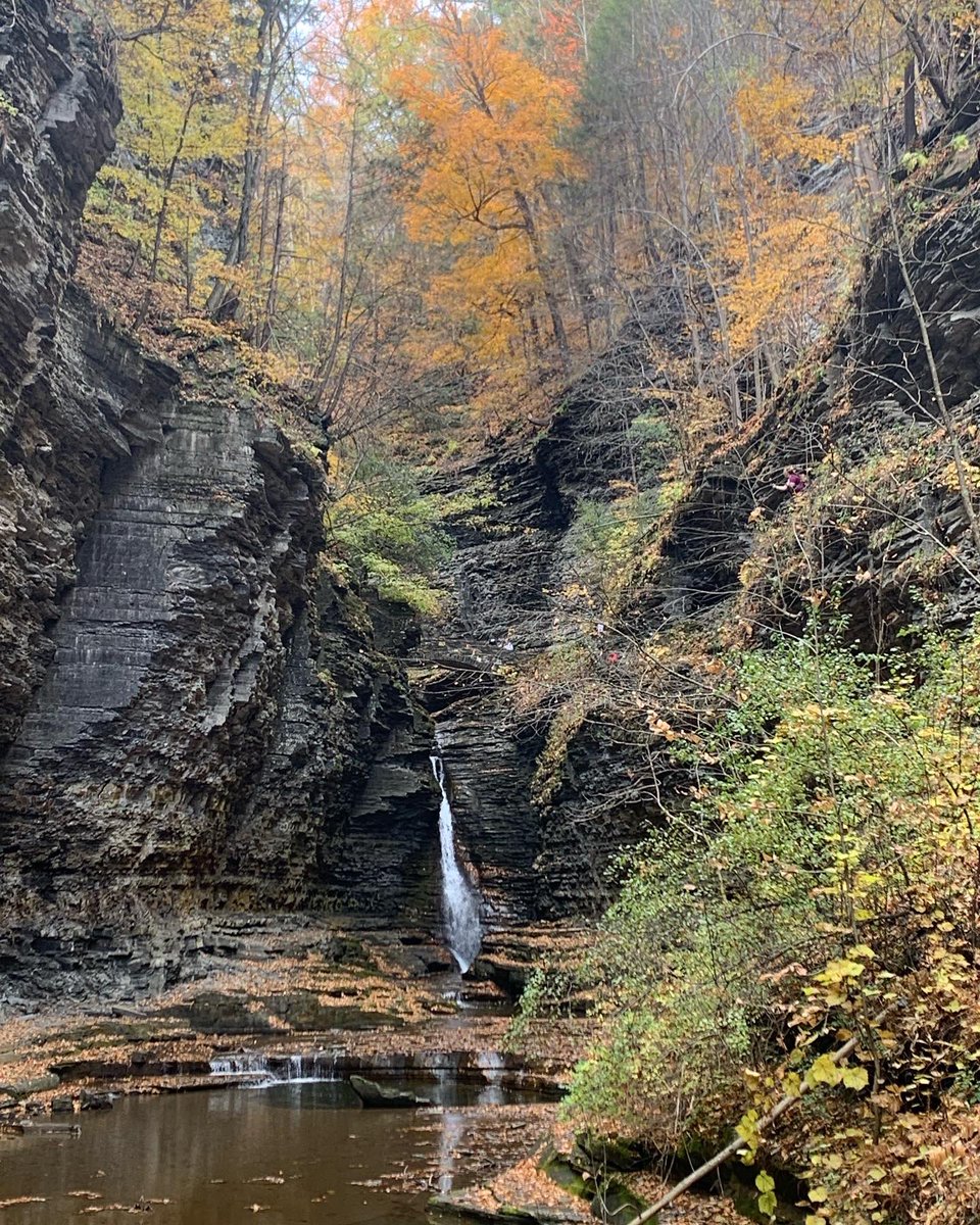 jenn_Xo17's tweet photo. Also finger lakes are amazing 😻 https://t.co/xr8NlPwDiH