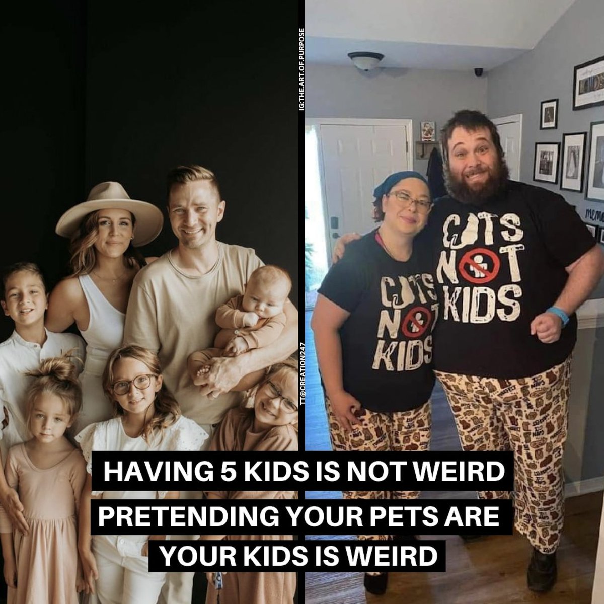 Cats are not children