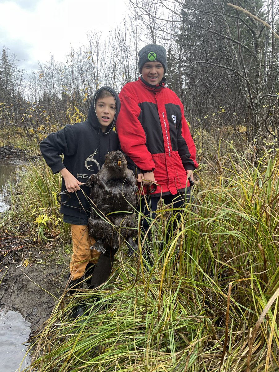 Dead Pine Collective tweet media