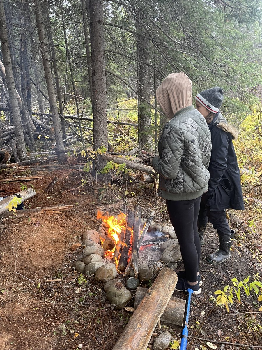 Dead Pine Collective tweet media