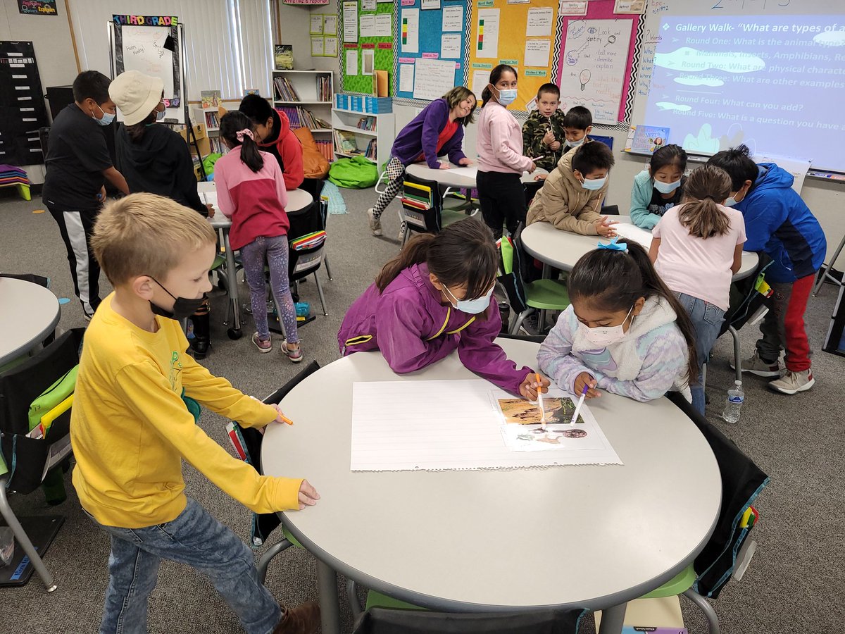 MelissaLeeAnn99's tweet photo. End of day, but the highlight...ELA cooperative learning with our first Gallery Walk of Knowledge. "What type of animal?" Accessing their prior knowledge in our unit opener. @ms_pantaleon @ShelleySTEM #allmeansall #wecandoit #learninglove #learningfun https://t.co/hyTlJBQpQs