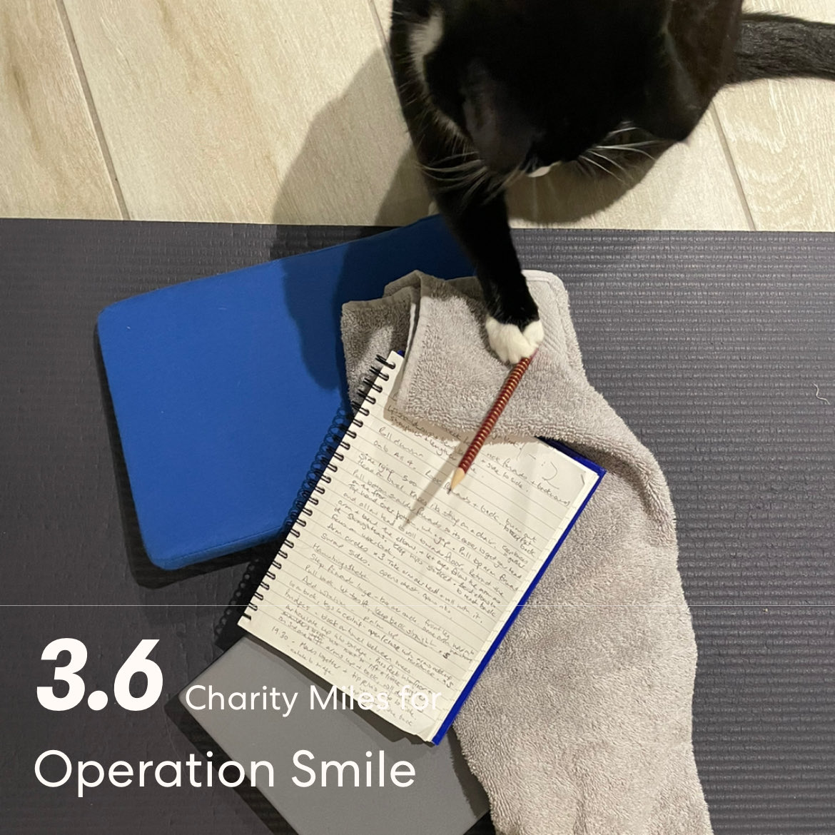 LatersBabyUK's tweet photo. #FiftyFans #ClassPlanning surprising few cat stretches ๐โโฌ despite the assistance. https://t.co/VHEYMXp0aJ