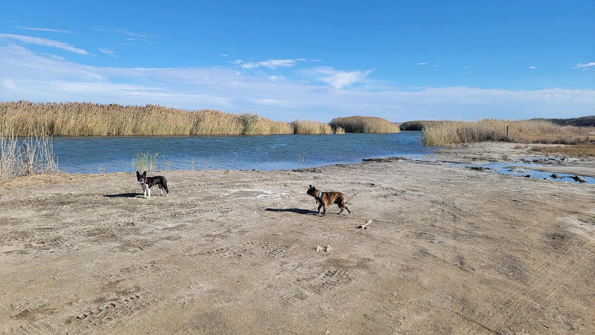 OffgridwithJD's tweet photo. Great little quiet #boondocking spot on the #missouririver in NE. 30Mb 4G too!
#skoolielife #vanlife #travel #homeiswhereyouparkit #buslifeadventure #buslife #nomadlife #roadtrip #eastcoast #livedangerously #tinyliving #skoolie #skoolieconversion #busconversion #shortbus https://t.co/Lcz16nqClG