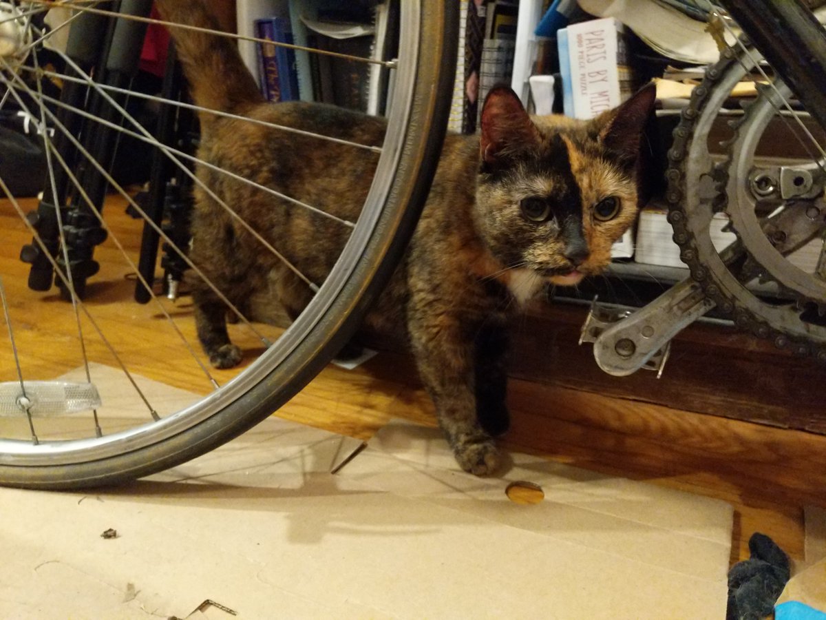 nat towsen tweet media