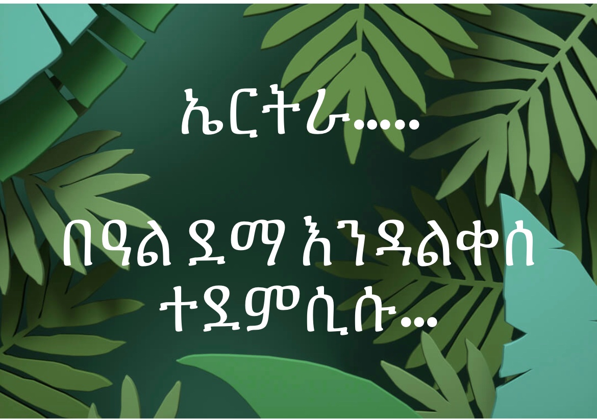 Amanbiede's tweet photo. Gratitude to EDF, Eritrean people &amp; leadership. Brilliance across the board. Eritrea is truly a blessed nation. All the Eritrea noise was precisely bc the target was Eritrea. But #EritreaPrevails https://t.co/IWu8cfwBLO