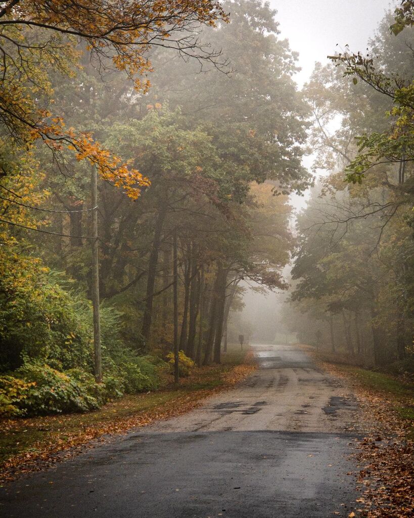 Sproxno's tweet photo. A bit foggy out today on the too of the cliffs. Allison Park Rd.
.
.
.
.
.
#njpalisades #palisadesinterstatepark #longpath #hiking #njhiking #fog #leaves #fall #road #hikenj #whileiwasoutside #mist #fallcolors https://t.co/kxGagSSh2e https://t.co/bvjQoHDVvb