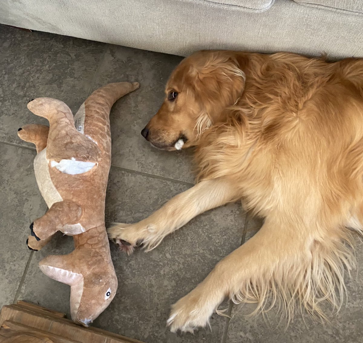 WrigleyGolden's tweet photo. It wasn’t me https://t.co/LEDAF9UwfS