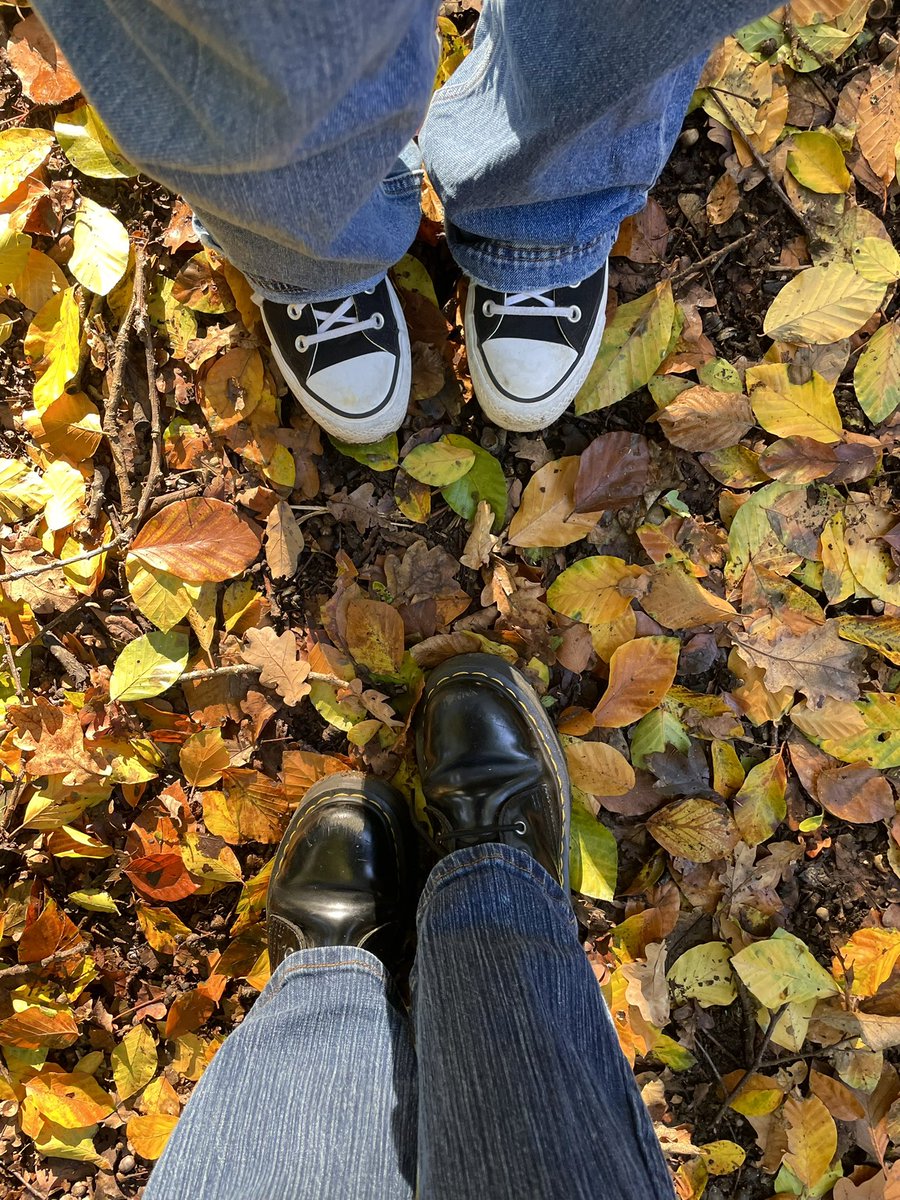 Eloise 🍂 tweet media