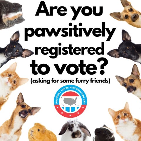 SCCFairWrkplace's tweet photo. The California General Election is on November 8, 2022. Know your voting facts and make your voice heard! 🗳 🎉 Swipe through and share to #getoutthevote.

Does the redistricting affect me?: https://t.co/X6alfPVdD9 

Where is my district?: https://t.co/05O6Ow6CGM https://t.co/EvCLiSEKpO