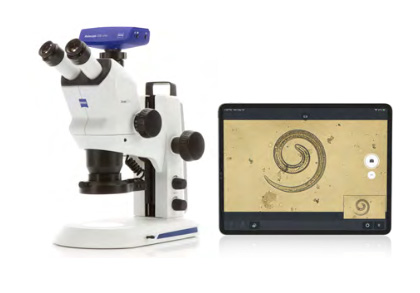 MicroscopeWorld tweet picture