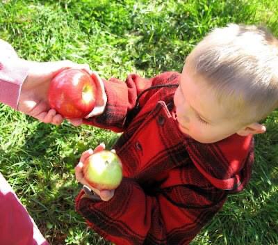 Local friends - apple pie competition Saturday then Sunday public tasting at the library.  Adult and under-15 categories facebook.com/events/7625642…