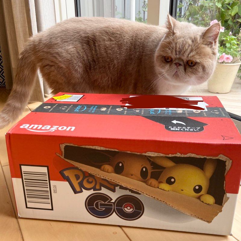 ポケモンgoアマゾンボックス Twitter Search Twitter