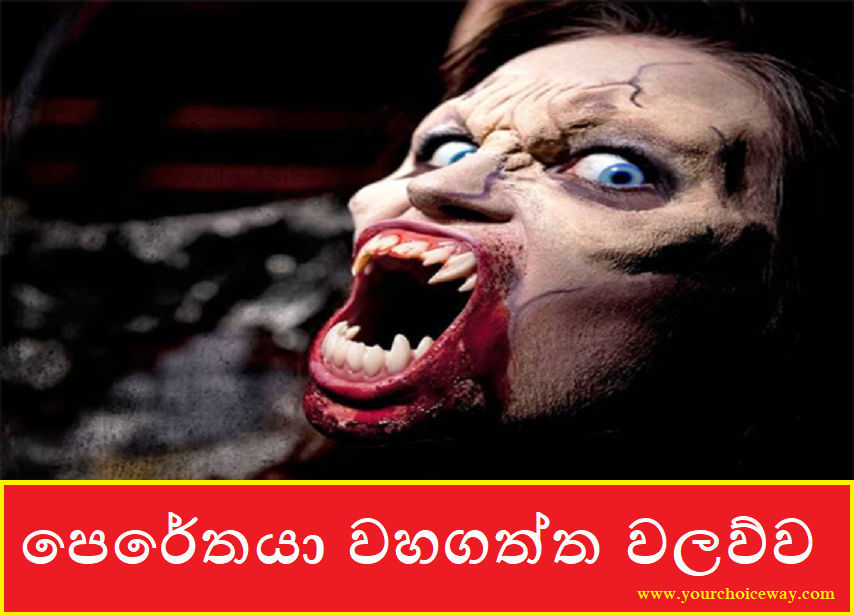 LokayaWishmitha's tweet photo. පෙරේතයා වහගත්ත වලව්ව (Waluwa)

සම්පූර්ණ ලිපිය කියවන්න👉    https://t.co/ExMUM5tOlM  👈

Google Paly 👉  https://t.co/CN5hIN0Cam

 #wishmithalokya #wishmithalokaya #srilanka #sinhala #srilankan #sinhalablog #විශ්මිතලෝකය #සිංහල #lka #blogger #blog #sinhalablogger #wordpress https://t.co/TWfbBe0NOG