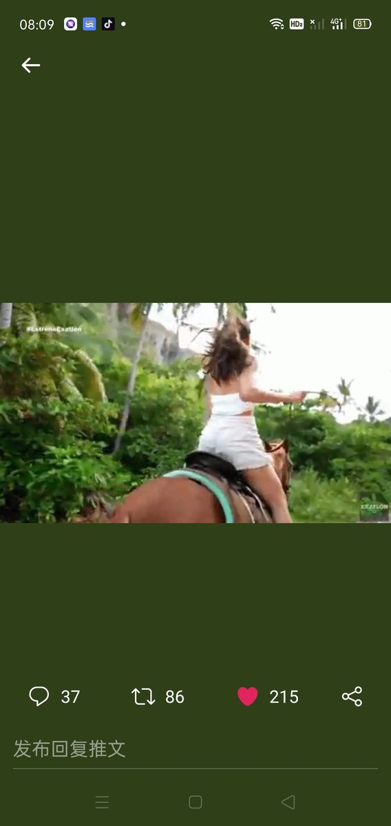 美女，策马奔腾是要去追寻意中人( YOHO币)吗？