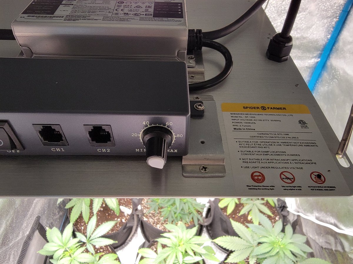 KC_Flower_Power's tweet photo. Came to look at the plants before lights out on the @spiderfarmerled #SF1000 and I'm pretty sure I have at least 1 male in there right in the center @SfVilina https://t.co/X36806u0Uz