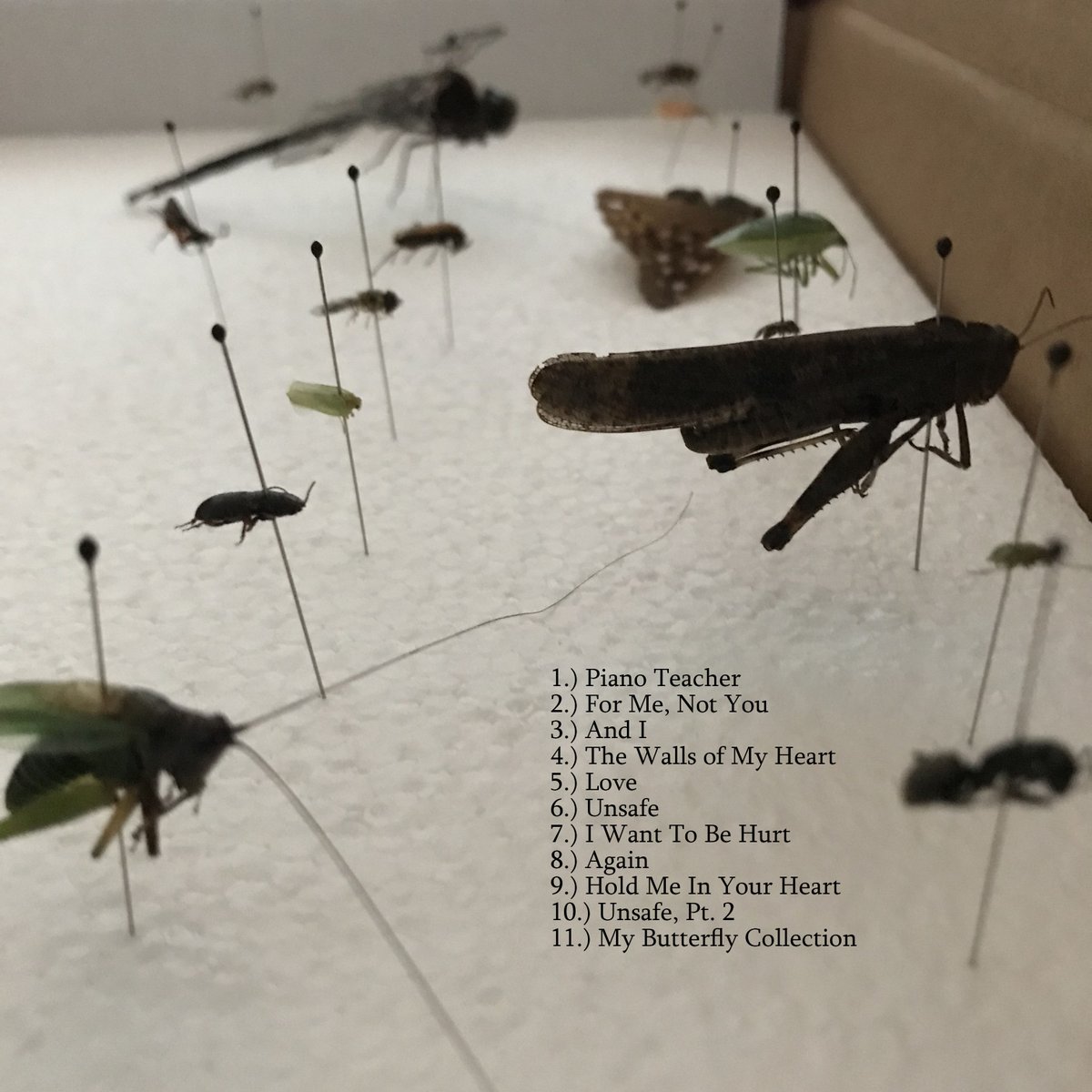 Will_Gardiner_'s tweet image. 🦋NEW WILL GARDINER ALBUM 🦋
"My Butterfly Collection"
November 3rd, 2022
Album cover and tracklist ⬇️