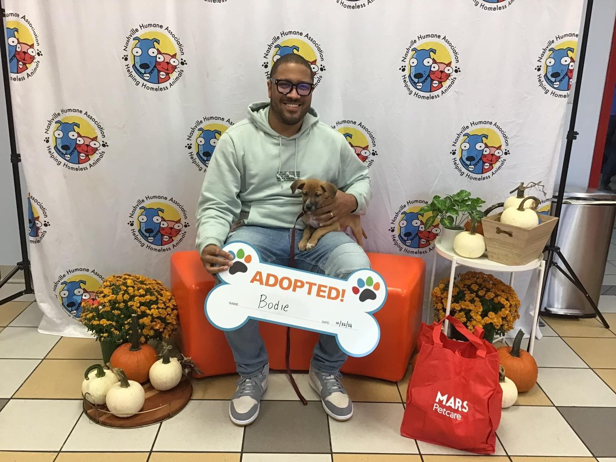 nashvillehumane's tweet photo. Thanks to @MarsPetcareUS + @PedigreeFound we had over 100 sponsored adoptions during the #ServiceHumansNeeded Adoption Event! Please enjoy this thread of GOTCHA DAY pics from Saturday, 10/22. PS: Get ready for Sunday thread soon where we’ll post the exact weekend adoptions total! https://t.co/CAiYx07pXj