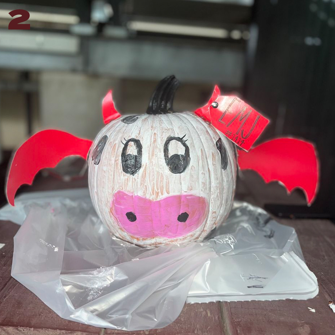 Texas State Softball tweet media