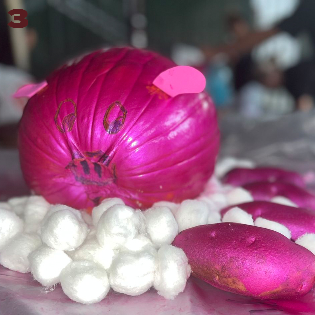 Texas State Softball tweet media