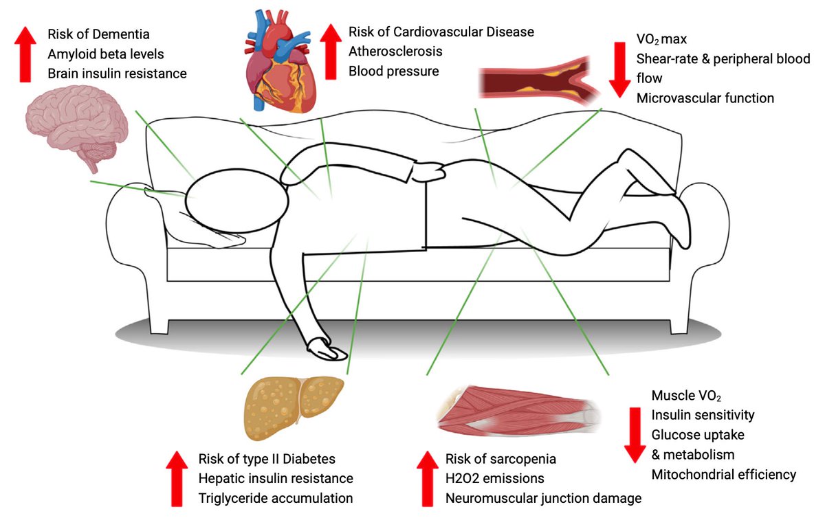 Physical inactivity & sedentary behavior: ➡️major contributors to endocrine and metabolic diseases ➡️1.4 times more likely to develop dementia ➡️1.75 times more likely to develop cardiovascular disease ➡️increased risk of premature death cell.com/trends/endocri…