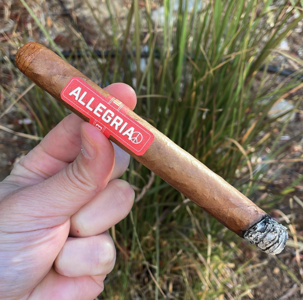 illusionecigars's tweet photo. THIS ----> Getting the week started with this Illusione Allegria. @illusione_cigars #developingpalates #cigar #cigars #cigarsociety #cigaroftheday #nowsmoking #botl #sotl #illusionecigars https://t.co/p1V843FEUt