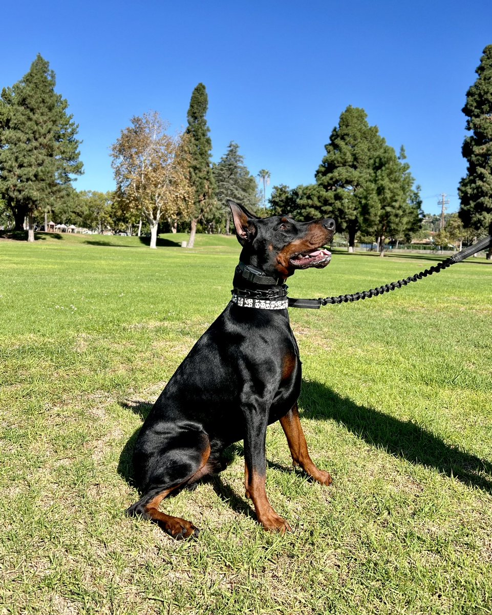 Blake Scott tweet media