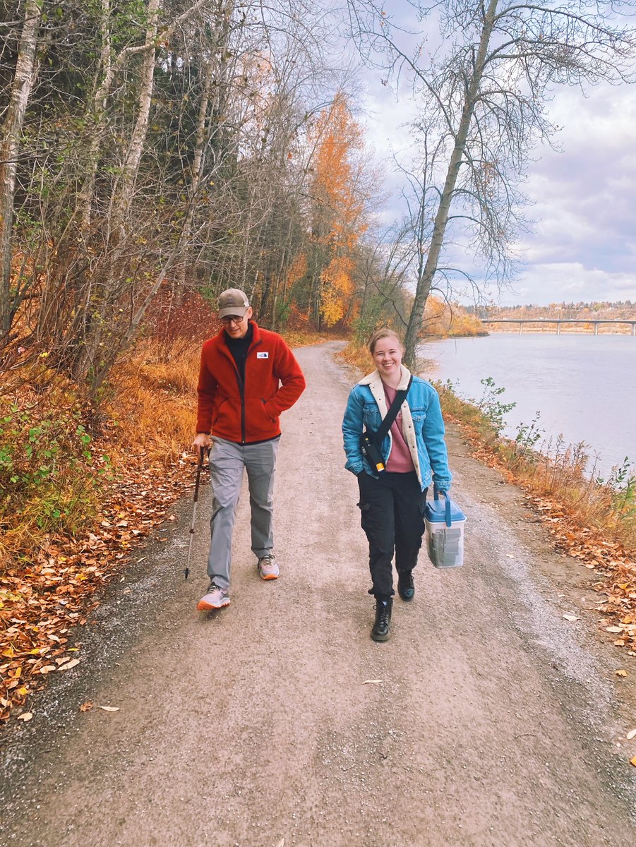 Songbird Neuroethology Laboratory tweet media