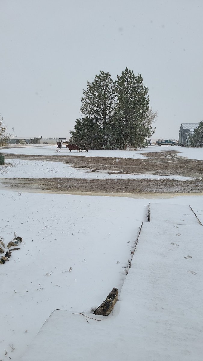 Leif Bakken tweet media