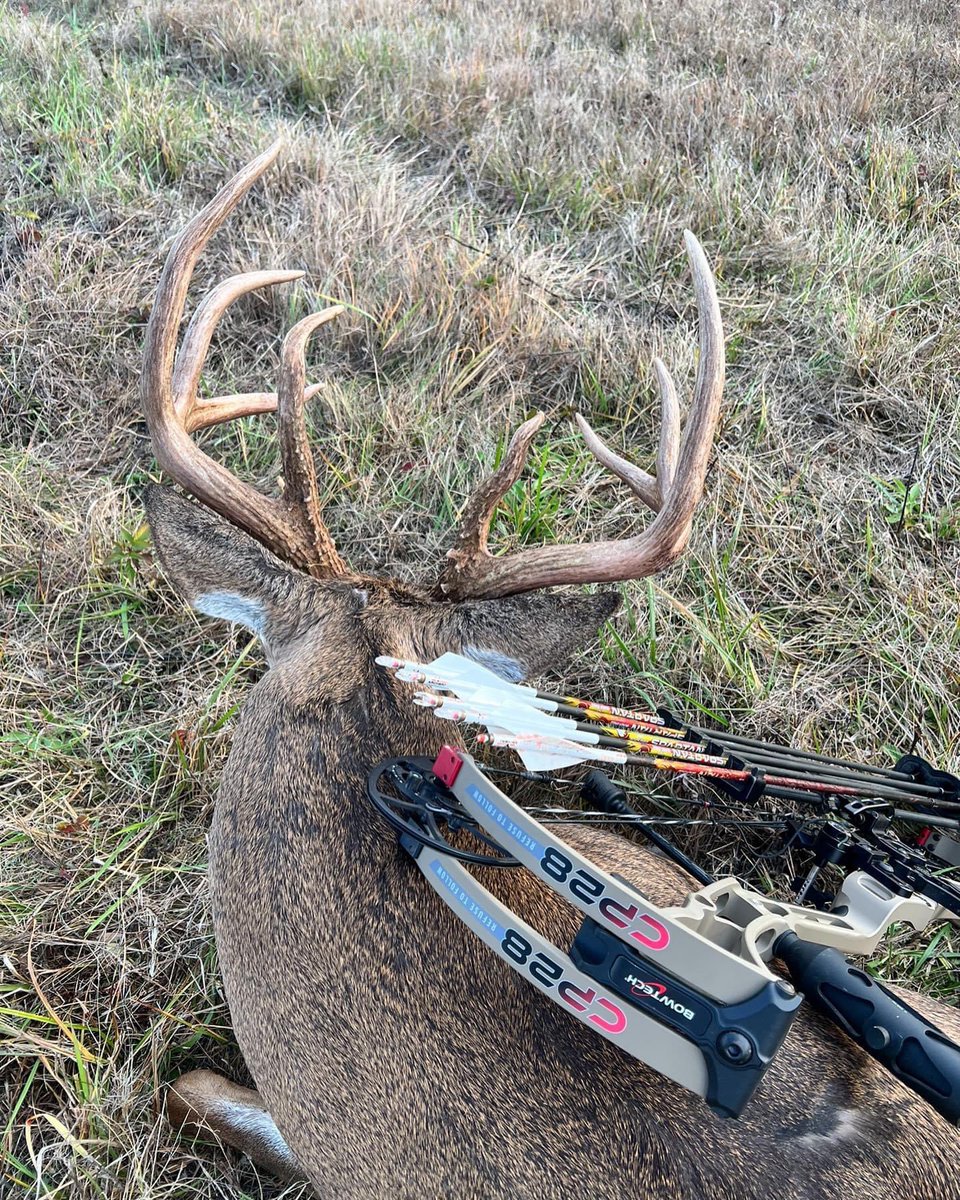 🦌 Buck Chasers 🦌 tweet media