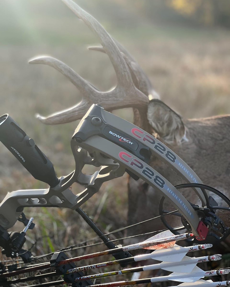 🦌 Buck Chasers 🦌 tweet media