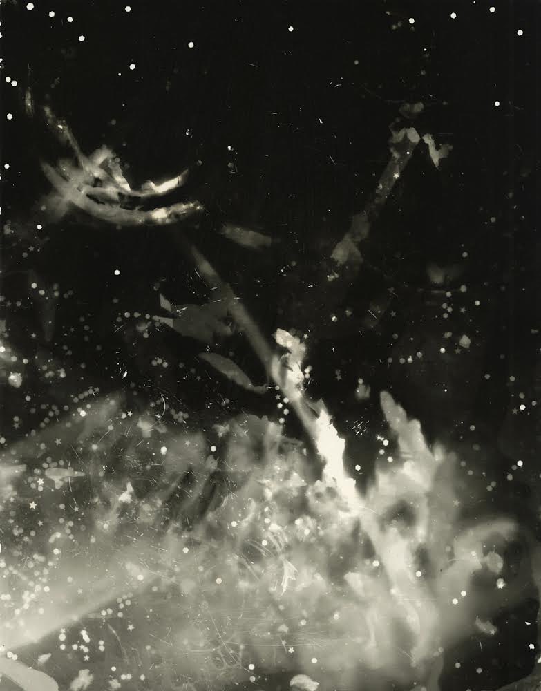 KJSPhotography's tweet photo. “Sunburn (aka Blades of Grass)“ - 1 of 4 of my #photograms , in @1stdibs CURRENT #Curated #printauction ❣️
(#metamorphosis series). [Made with #snow &amp; is also an #icerubbing ].

🔗See the full auction here: https://t.co/PYQ0rylz0N

#1stdibs #auction #investinart #unique #bandw https://t.co/qQuX47pmYf