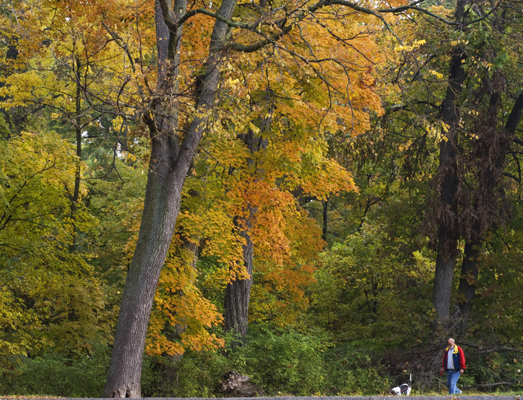 St. Louis County Parks tweet media