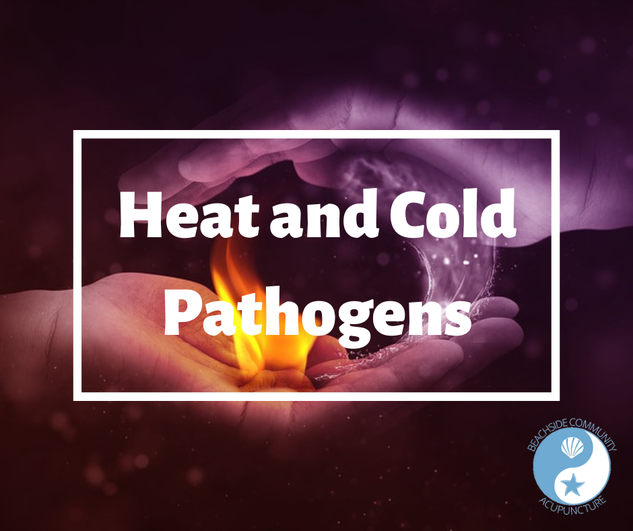 BeachComAcu's tweet photo. When it comes to the Heat and Cold elements from the Six Exogenous Pathogenic Factors in Traditional Chinese Medicine, they seem straightforward in what they entail. Let's take a closer look and see if there's more to it!
#BeachsideCommunityAcupuncture https://t.co/tpWijW5Cxr https://t.co/nVdBdYt9Kg