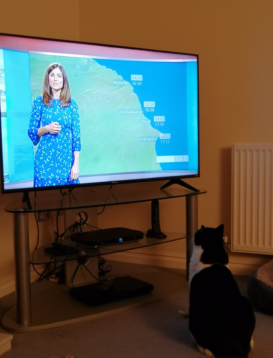 suewellsdesigns's tweet photo. @KeeleyDonovan ...Our Sid enjoyed your forecast this evening 😁👍 https://t.co/m6qIUfs37n