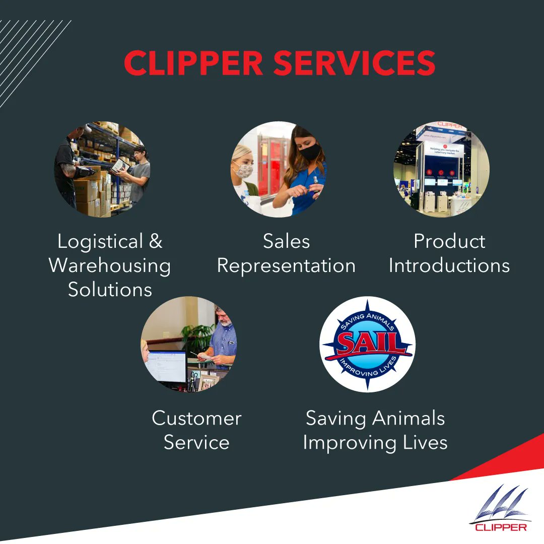 ClipperDist's tweet photo. From marketing and sales to product introductions and customer service, we offer a wide range of value-added services.

Find out more about our services: https://t.co/YgEQMnmg6C https://t.co/6Bs5Sy9fAH