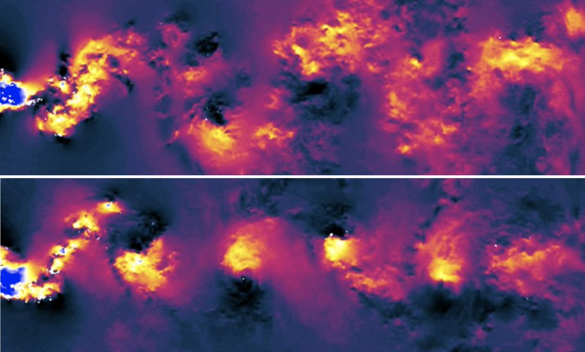 Jason Hearst tweet media