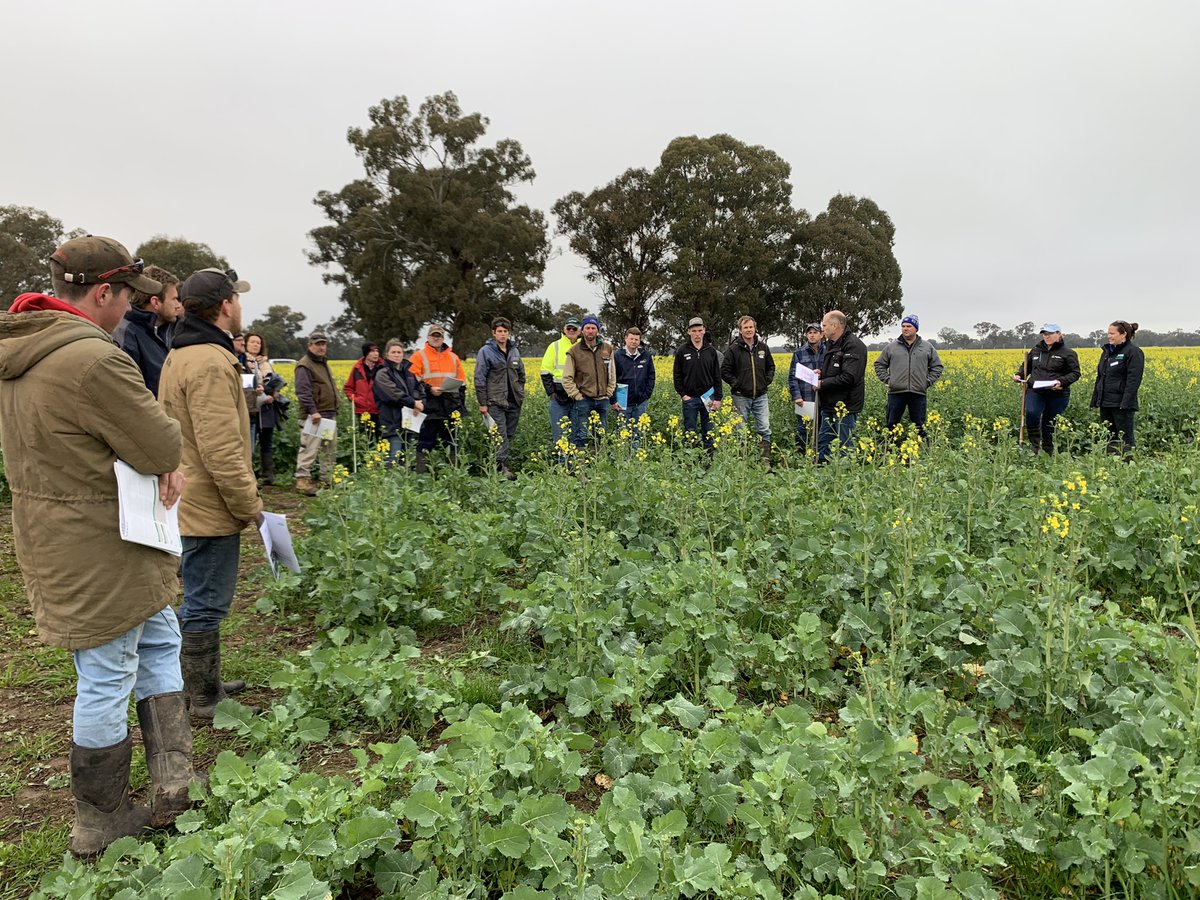 RiverinePlains's tweet photo. Our weekly Blog looks at current topics in the industry.🌾🐄🚜🐑
✔️Managing hoof & other issues in sheep this Spring
✔️Farm impacted by the wet weather? Take some time with the #bigdecisions
✔️Brown manuring your #pulsecrop -is it an option this year?
👀 https://t.co/I7gVukBk2z https://t.co/hu1ga1JlYf