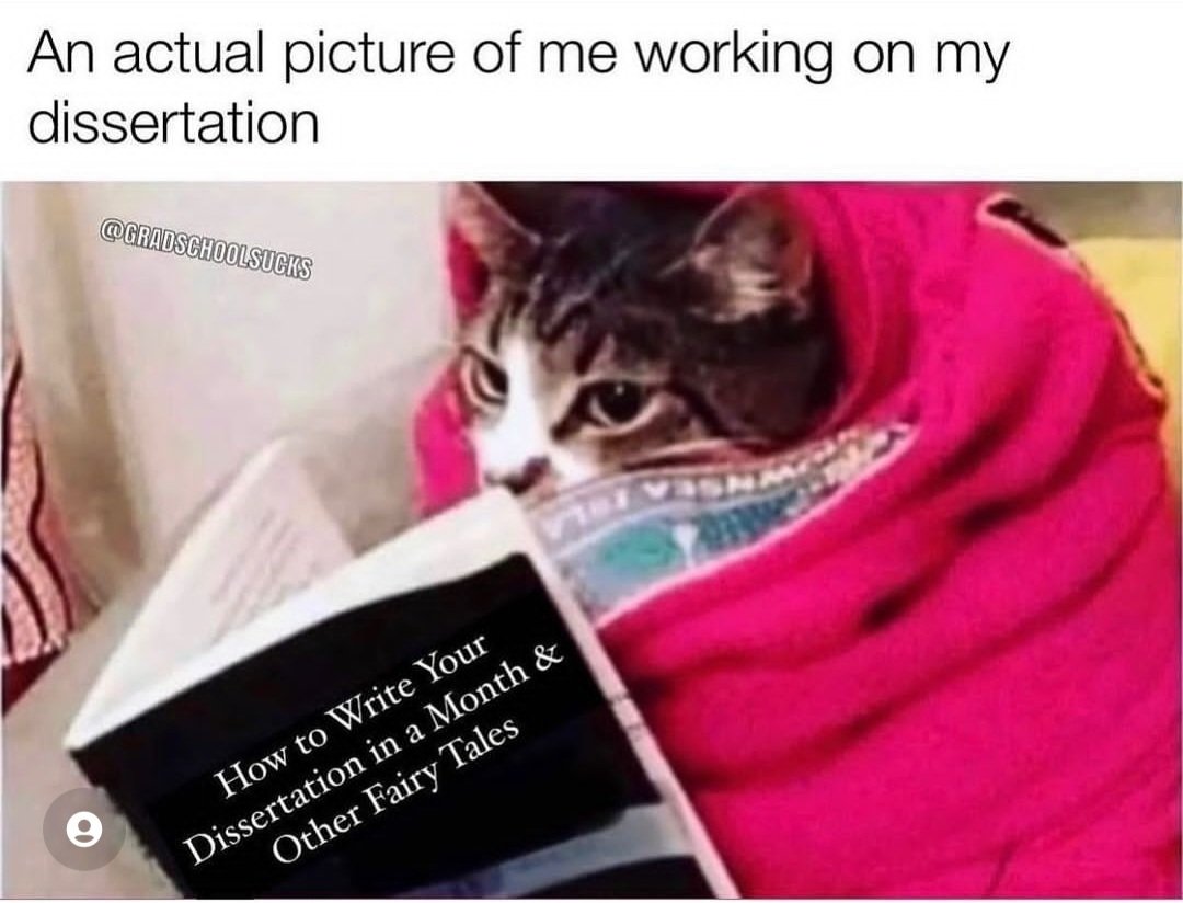 Current mood. No joke #phdlife #timemanagement #Dissertation