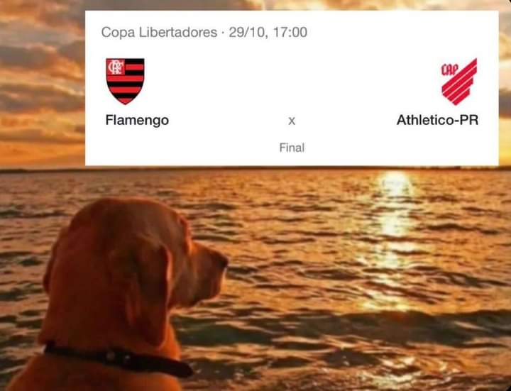 kekexcrf's tweet photo. Olhando pro nada, e pensando em tudo .... https://t.co/dDGYebkIPx