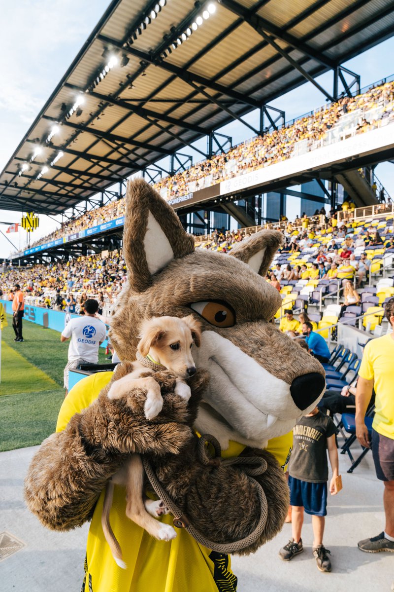 #EveryoneN for our furry friends 🐱🐶

We’re joining Mars Petcare bring an end to the ongoing shelter crisis. Together, we can save the lives of our best friends. Learn how you can help: BetterCitiesforPets.com/ServiceHumans 

#ServiceHumansNeeded