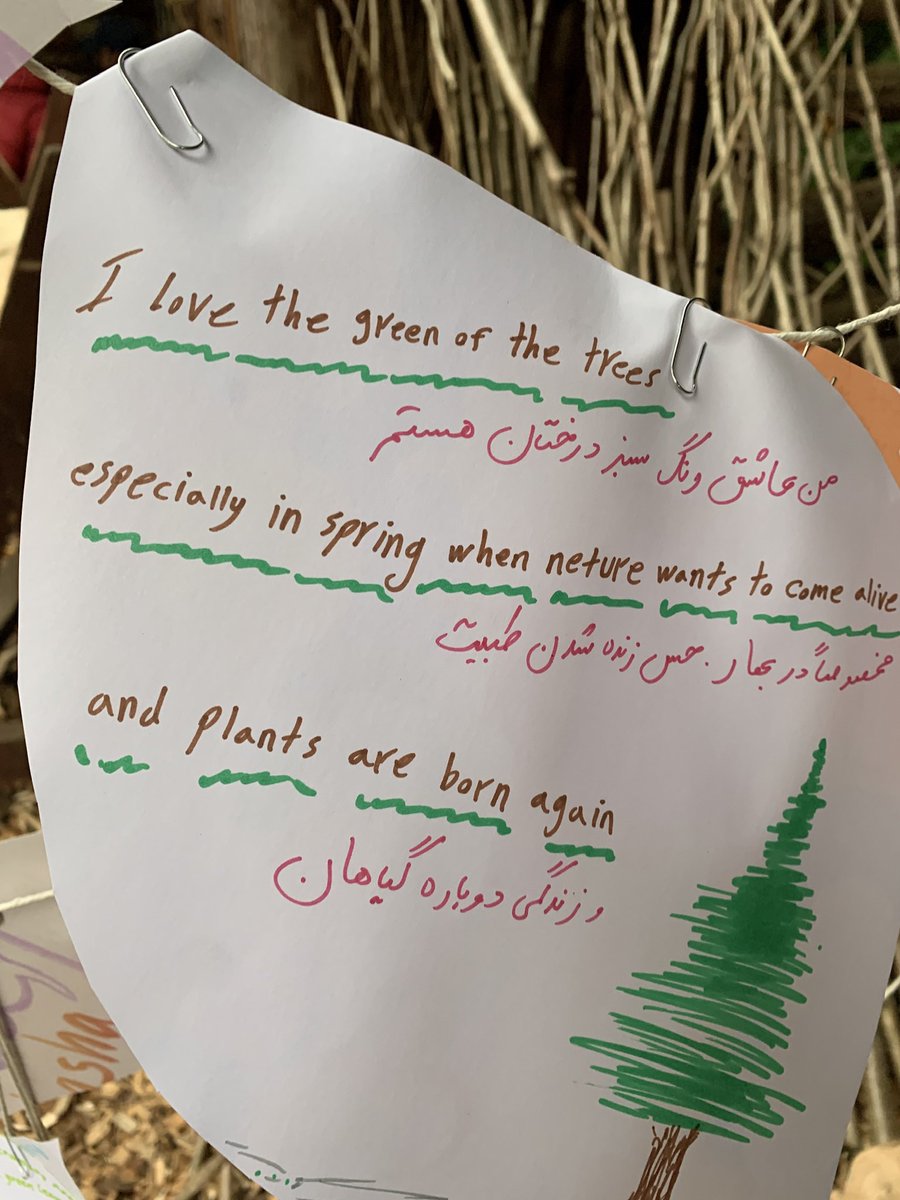 Alison Phipps አሊሰን 🧡🕊️ tweet media